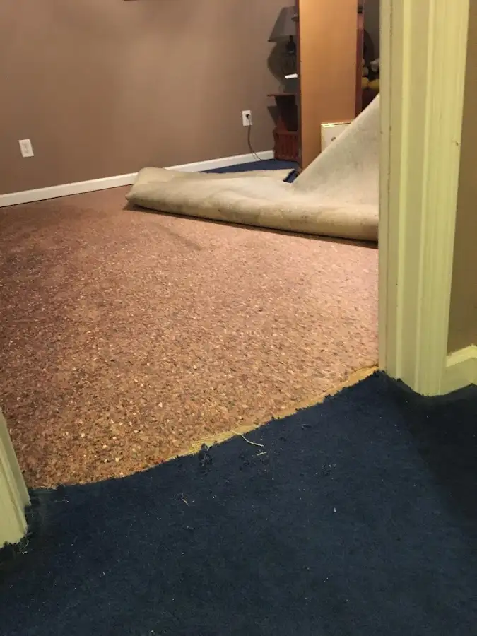Carpet pad removal revealing water damage during Drying & Dehumidification in Tuscaloosa
